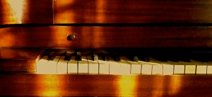 The Piano (photo by Patty Perkins)